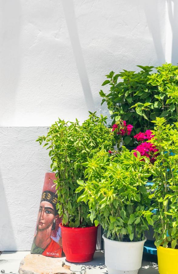 Plakes Sea View Apartment Plaka (Milos) المظهر الخارجي الصورة